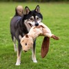 Best Pet Supplies Squeaky Dog Toys with Soft Durable Fabric