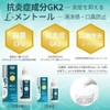 Lion Dental Materials Lion Systema SP-T Medical Gargle 20ml 1