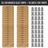 Roach Traps Indoor Sticky (36 Pack) - Glue Traps for