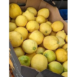 Fresh Organic Lemons from California - Unsprayed Chemical-Free - 2 lbs