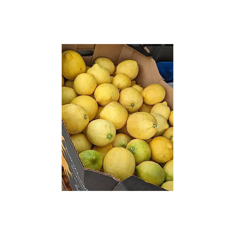 Fresh Organic Lemons from California - Unsprayed Chemical-Free - 2