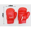 Kids/Children/Boxing Gloves Punching Gloves (Blue) Kids Gloves emuwai