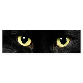 CafePress Black Cat Eyes Sticker (Bumper) 10"x3" Rectangle Vinyl Bumper Sticker Car Decal