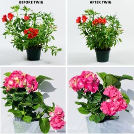 TwigsGA - Plant Stakes Sample Pack