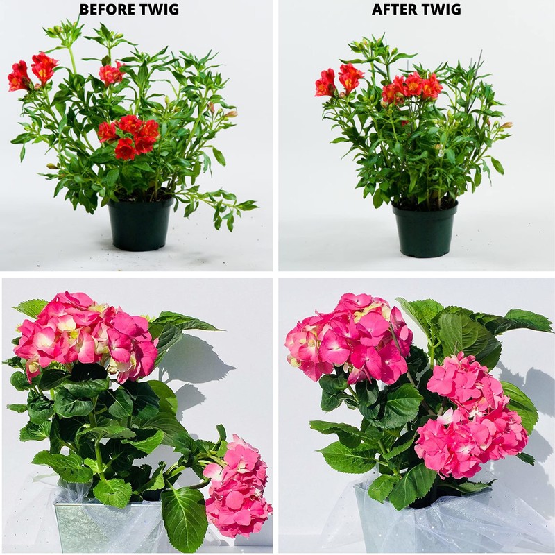 TwigsGA - Plant Stakes Sample Pack