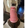 Turtleneck Dog Shirt Cute Doggie Embroidery Super Soft Dog Sweatshirt