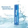 Blistex Complete Moisture Lip Protectant 0.15 oz (Pack of 2)