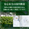 Persimmon Leaf Tea Made in Japan, Far Infrared Roasting, Decaffeinated