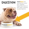 maxxipaws maxxidigest+ Probiotic & Prebiotic Powder Supplement - Digestive &