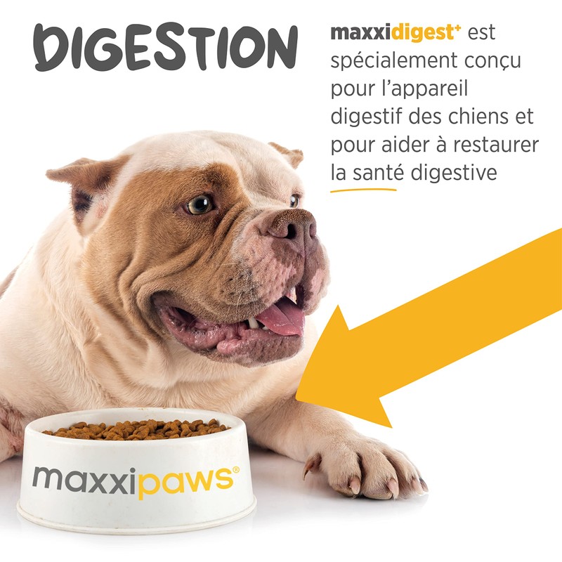 maxxipaws maxxidigest+ Probiotic & Prebiotic Powder Supplement - Digestive &