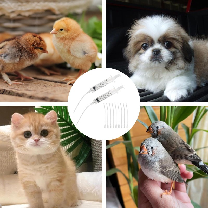 2 Syringe Young Birds Feeding Syringe, Hand Feeding Tool, with