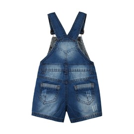 Kidscool Space Baby & Little Boys Dinosaur Car Embroidered Ripped Fashion Denim Shortalls