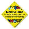 Autistic Child Emergency Alert Sticker by Magnet America is 5