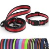 Mile High Life Reflective Dog Collar & Leash - Adjustable