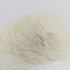 Sour Dough, WHEAT Sour Dried 500 g