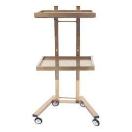 Knwigoe 2-Tier Metal Salon Rolling Cart Stainless Steel Trolley Salon Tray on Wheels Kitchen Storage Trolley Utility Stand for Beauty Salon Kitchen (Gold)