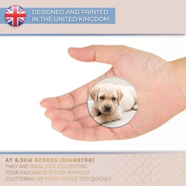 Destination Vinyl ltd Magnet for Refrigerator, Fridge - Cute Labrador Puppy Dog Fun for Office, Cabinet and Whiteboard, Magnetic Stickers, 2690
