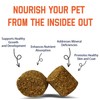 Schupethauer SCHUPETHAUER Dog Trace Mineral Chews C Supports Growth, Nutrient