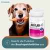 Amylan AD Digestive Tablets for Dogs & Cats - With