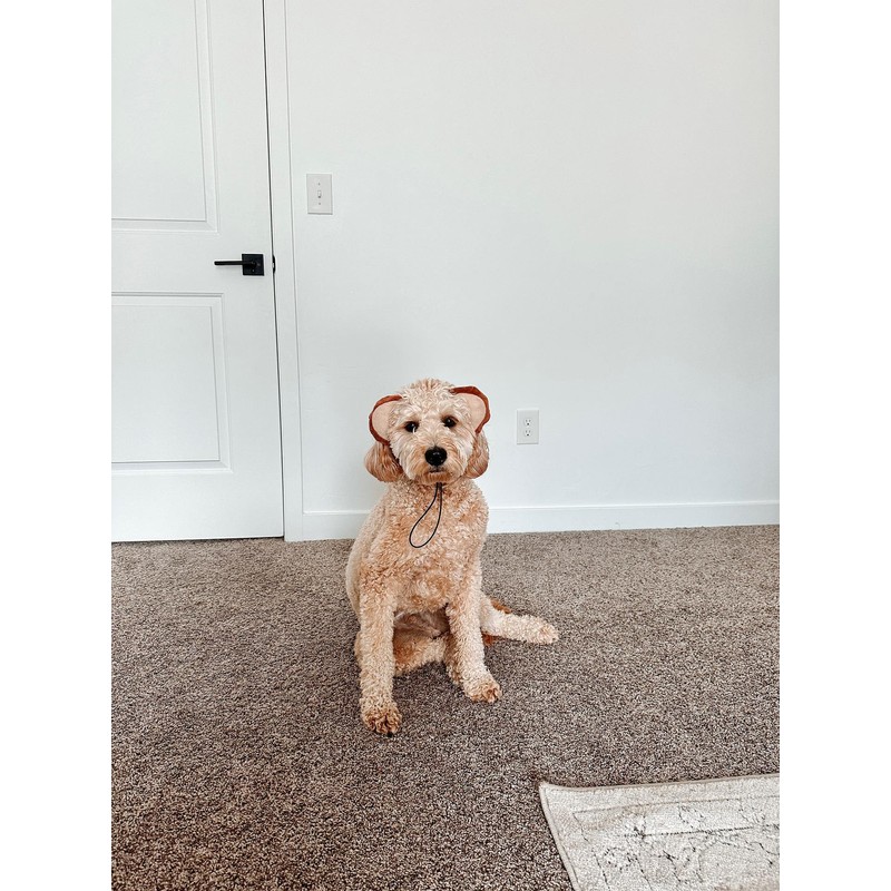 Midlee Monkey Headband & Tail Dog Costume