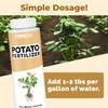 Potato Fertilizer – Liquid Plant Food for Bigger Tubers, Stronger