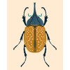 Beetle Bug II Poster Print - Victoria Barnes (24 x