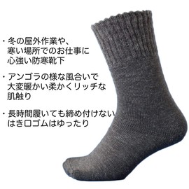 Hayashi US722 Men's Socks, Cold Protection, Military Feet, Fleece Lined, 2-Pair Set, Thick, Warm, Rich Texture, Men's Angola-Style Brushed Lining, Round Toe, Gray, Loose Cuff, 9.6 - 10.6 inches (24.5