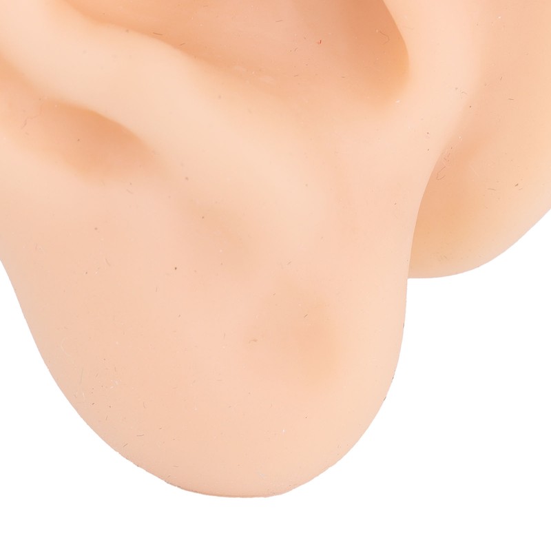 Soft Silicone Ear Model Simulation Ear Acupuncture Practice Model for
