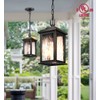 VIANIS Outdoor Pendant Light Fixture, Farmhouse Exterior Hanging Lights with