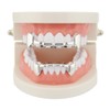 OOCC 18K Gold Plated Hip Hop Teeth Grillz Caps Iced