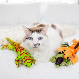 Cat Toys Catnip Toys for cats Cat Nip for Cats catnip toys for indoor cats Lizard Cat Toy Snake Cat Toy for Cats Interactive Cat Toy Cat Chew Toy Cat Chew Toys for indoor cats Kitty cat nip toys cat