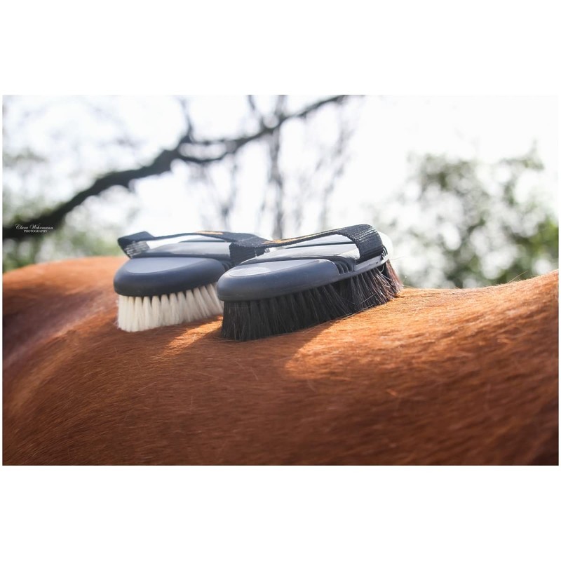 Flex Marengos Shine Brush Black / Grey