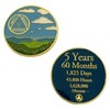 5 Year Sobriety Countdown Alcoholics Anonymous, Anniversary AA Medallion, Chip,