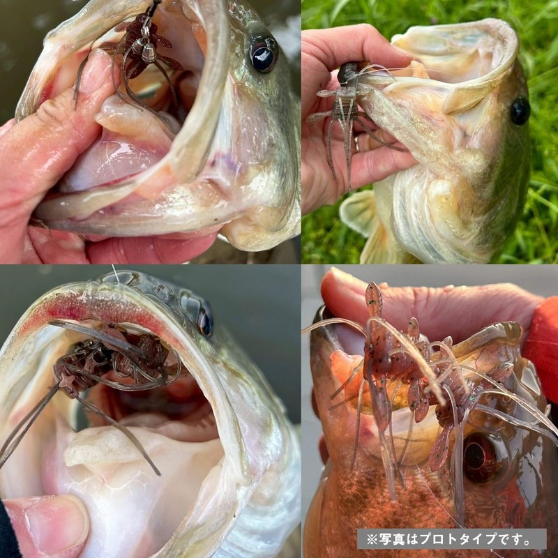 Daiwa STEEZ Quad Force Scuppernong Bass Worm