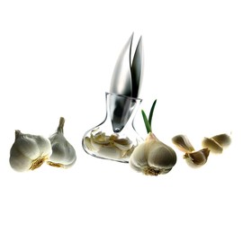 Eva Solo Garlic Press Stainless Steel Transparent Height x Diameter 20 x 9 cm