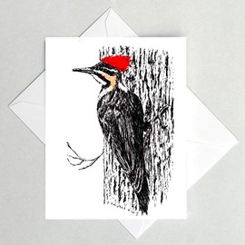 Pileated Woodpecker Note Card, Bird