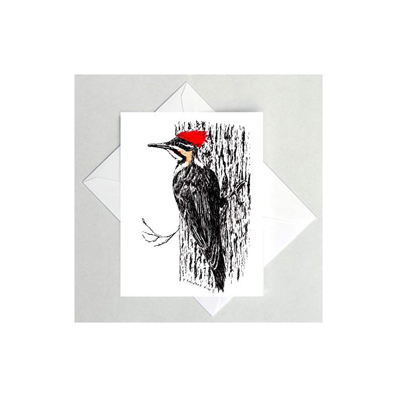 Pileated Woodpecker Note Card, Bird