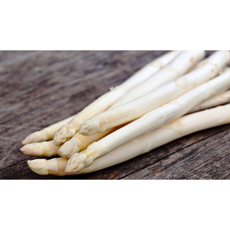 White Asparagus About 30 Seeds for Planting Non-GMO