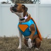 Silicone Tile Dog Collar Holder for Tile Mate 2020 &