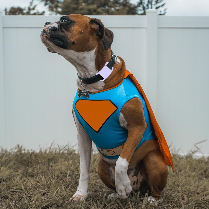 Silicone Tile Dog Collar Holder for Tile Mate 2020 &