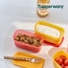 Tupperware Singsing Block Mini Rectangular 250ml 2-pack