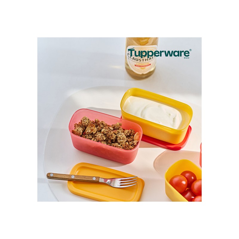 Tupperware Singsing Block Mini Rectangular 250ml 2-pack