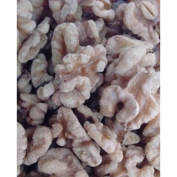 Sprouted Organic Raw California Walnuts, Family Orchard grown 8 lb