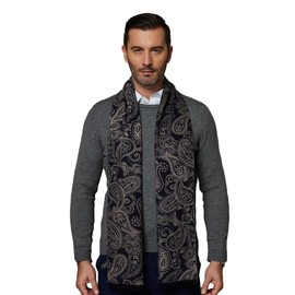 CUDDLE DREAMS Men's Silk Scarves, 100% Mulberry Silk Brushed, Luxuriously Soft (Paisley Navy)