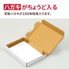 Earth Cardboard, Cardboard, Non-Shaped Mail, Postcard Size, 1.2 inches (3
