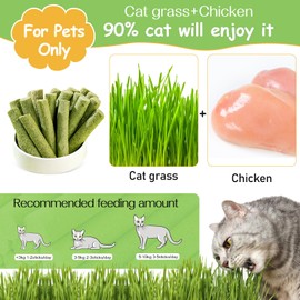 HavenJanny 100g Cat Grass Teething Stick for Cat, Natural Dried Cat Grass Treats Dental Snacks for Cats, Edible Cat Chew Toys for Teeth Cleaning and Hairball Removal, Cheer up