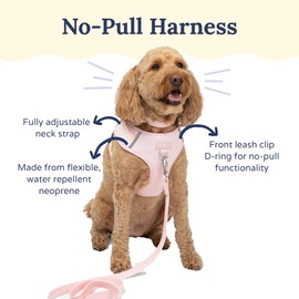 Lucy & Co. The Rosewater No-Pull Dog Harness – Size X-Small – Vest to Stop Pulling & Walk Easy – Comfortable Leash Training Product w/Adjustable Chest & Neck Straps