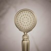 Kohler Artifacts 72776-G-BV Vibrated Brushed Bronze Hand Shower Head