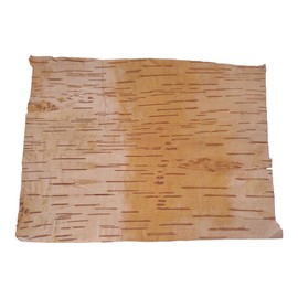 Bhojpatra 12 PCS Betula Birch Betula Bark Bhojpatra Sheets Writing Sacred Mantras