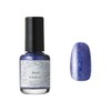OSAJI Uplift Nail Color, Formulated with Herbal Extract, Beautiful Gloss,